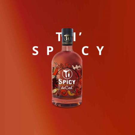 PUNCH CED TI SPICY 70CL