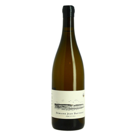 Dauvissat Père & Fils CHABLIS 1er CRU VAILLONS 2021 75 cl