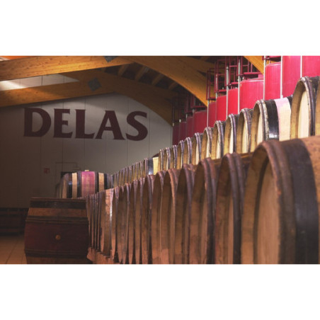 Cornas Chante Perdrix by Delas Red Rhône Valley Wine