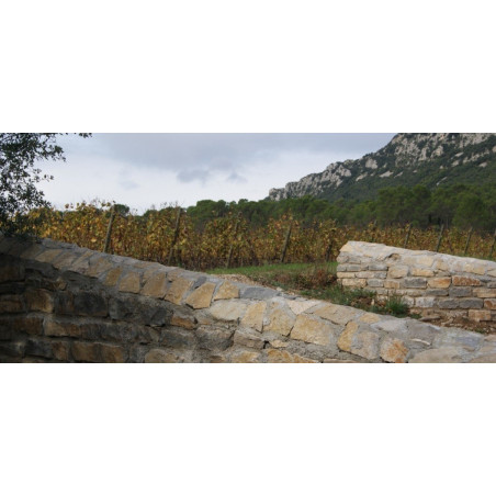 DOMAINE DE L’HORTUS GRANDE CUVEE ROUGE PIC SAINT LOUP BY JEAN ORLIAC