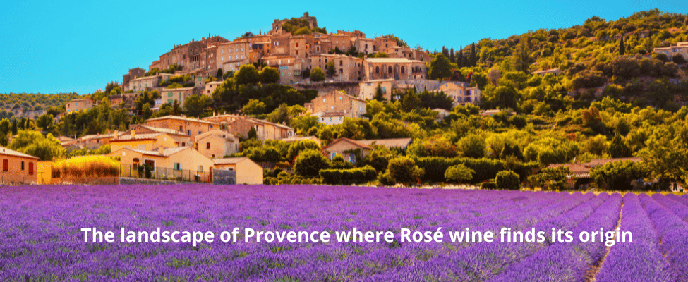 The origin of rose wine in the landscape of Provence