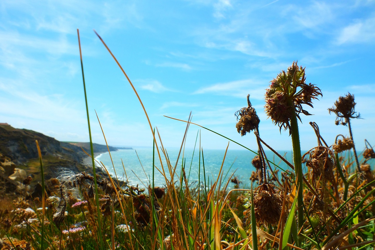 enjoy a ride on the opal coast for may bank holidays